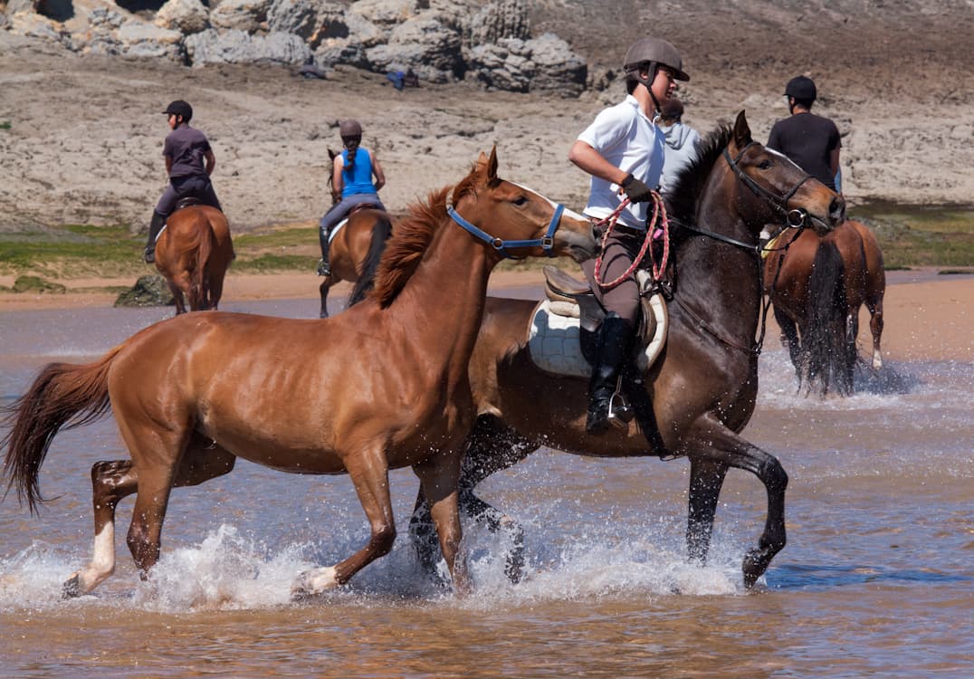 Rutas a caballo en Liencres: Paseo inolvidable con vistas espectaculares