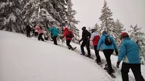 Excursión con raquetas de nieve en Asturias: Bosque de Peloñu, un paraíso invernal en Ponga