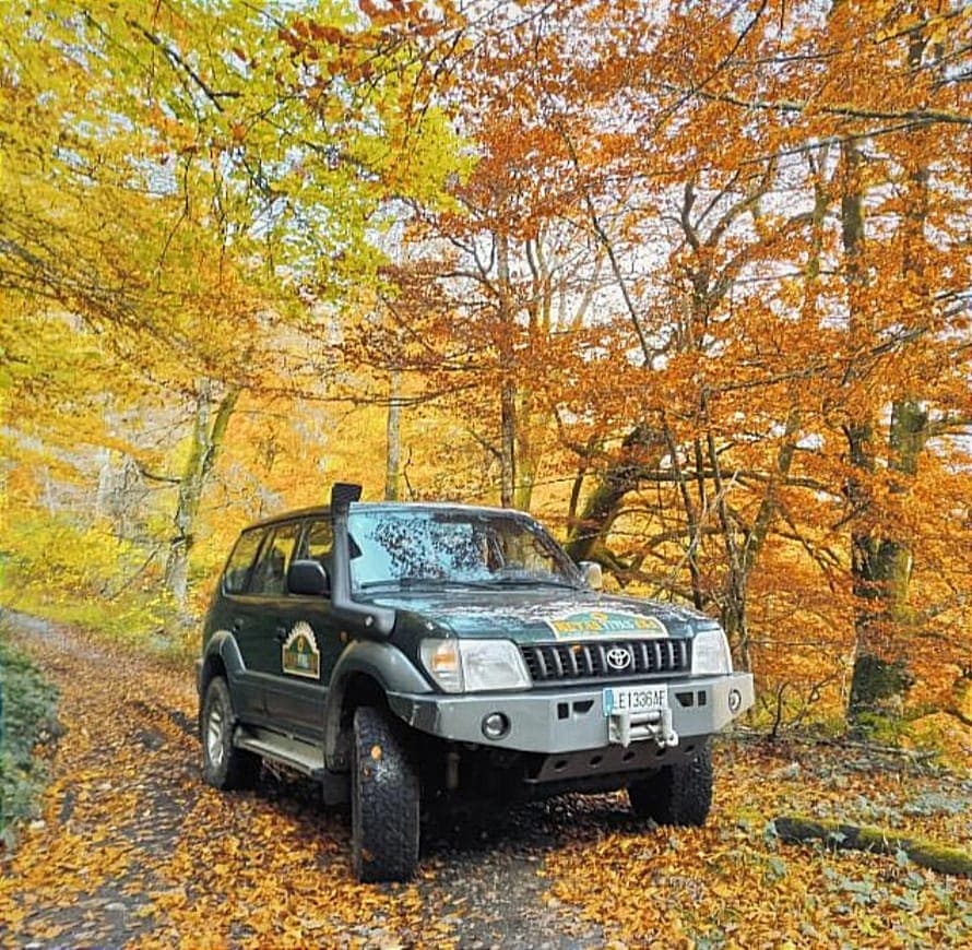 Ruta 4x4 por viñedos y cata de vinos de Cangas del Narcea en Asturias