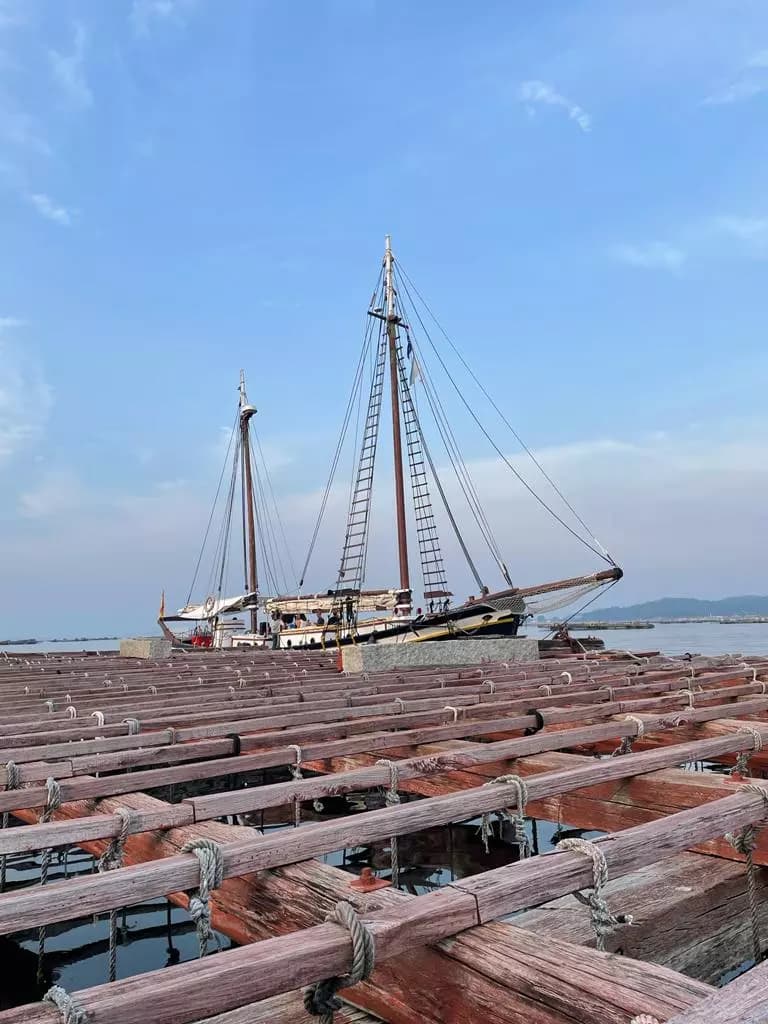 Mar, bateas y tradición: Una ruta marinera en goleta con sabor a ría