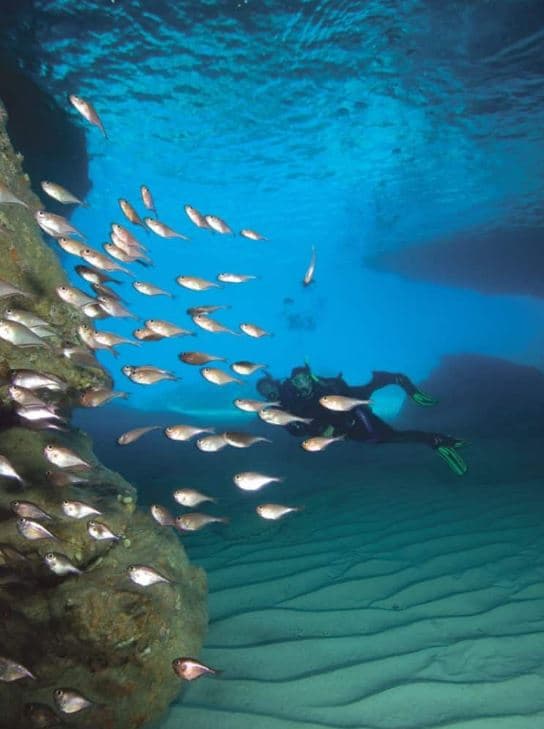 Bautizo de Buceo PADI Discover Scuba Diver: Tu primera inmersión en el océano