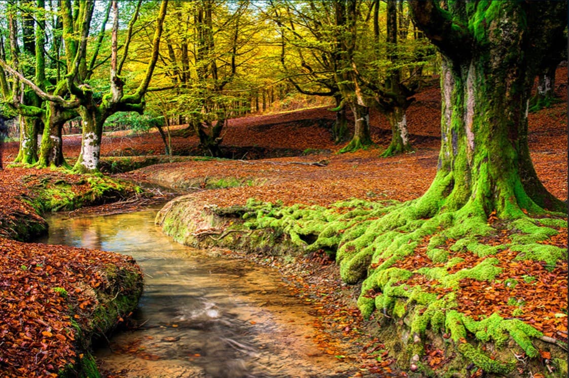 Senderismo en el Parque Natural de Gorbea: Descubre los senderos con encanto en Álava