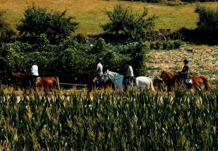 Ruta Circular a Caballo desde Vilarchao: Aventura en la Naturaleza Asturiana