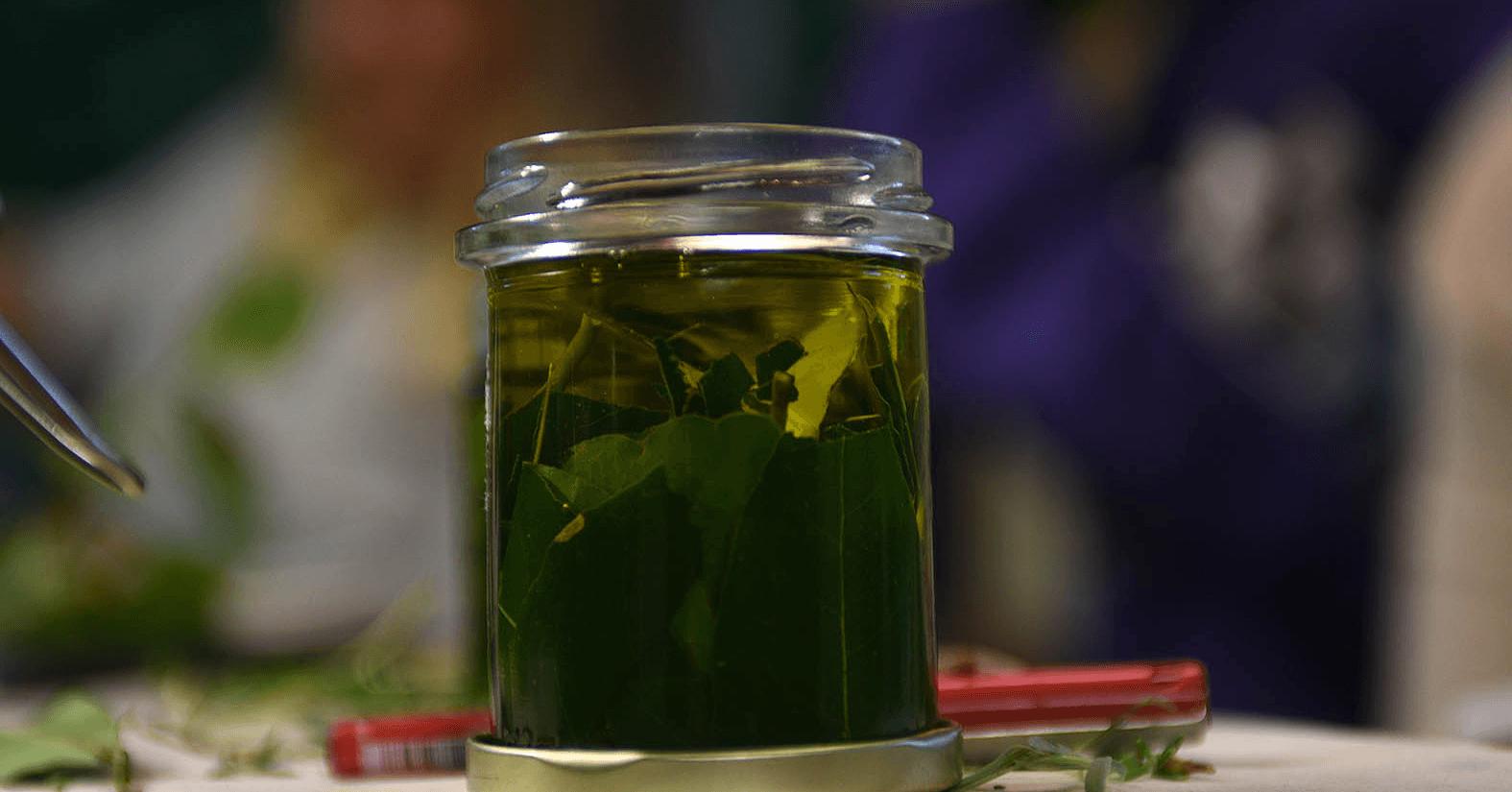 Secretos de la Naturaleza: Taller de Cosmética Natural en Soba, Cantabria