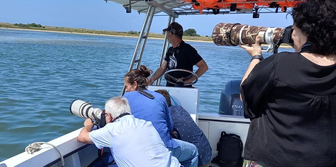 Aventura ecológica en la bahía de Santander: Navegación entre espacios naturales protegidos