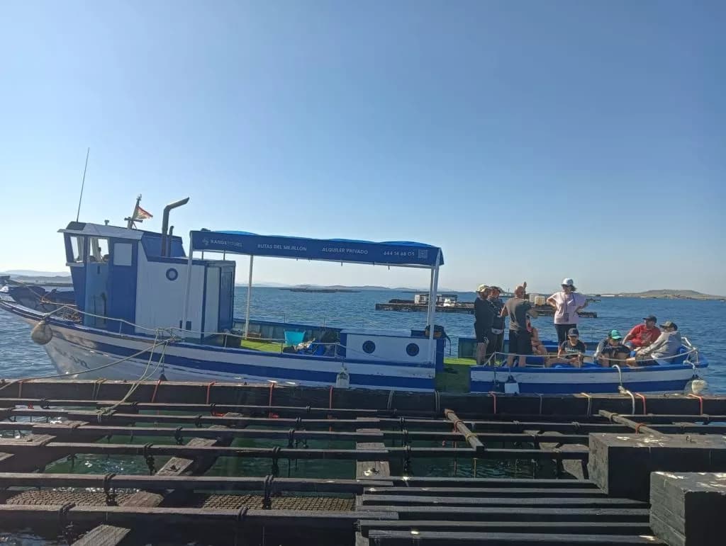 Entre bateas y sabor local de la RÍa de Arousa: Descubre el mejillón donde nace