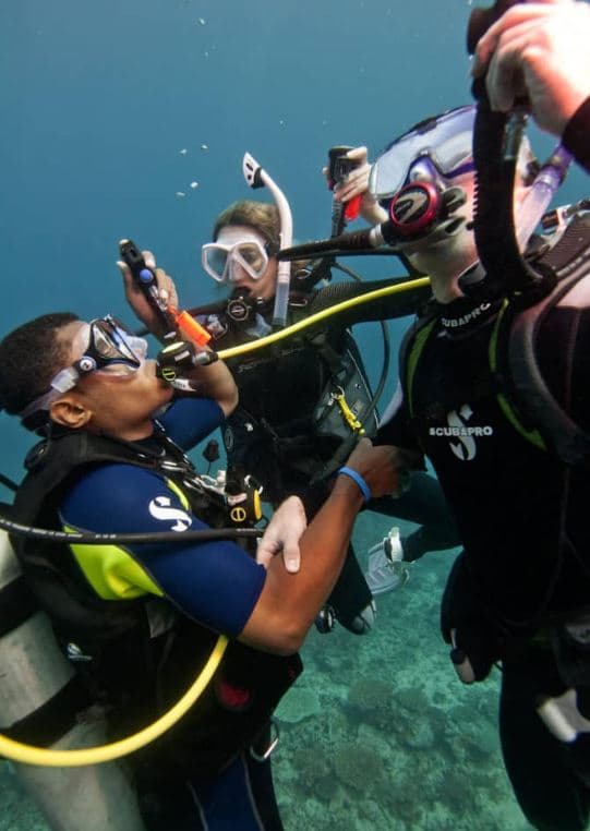 Conviértete en un Héroe Submarino: Curso PADI Rescue Diver para Todos