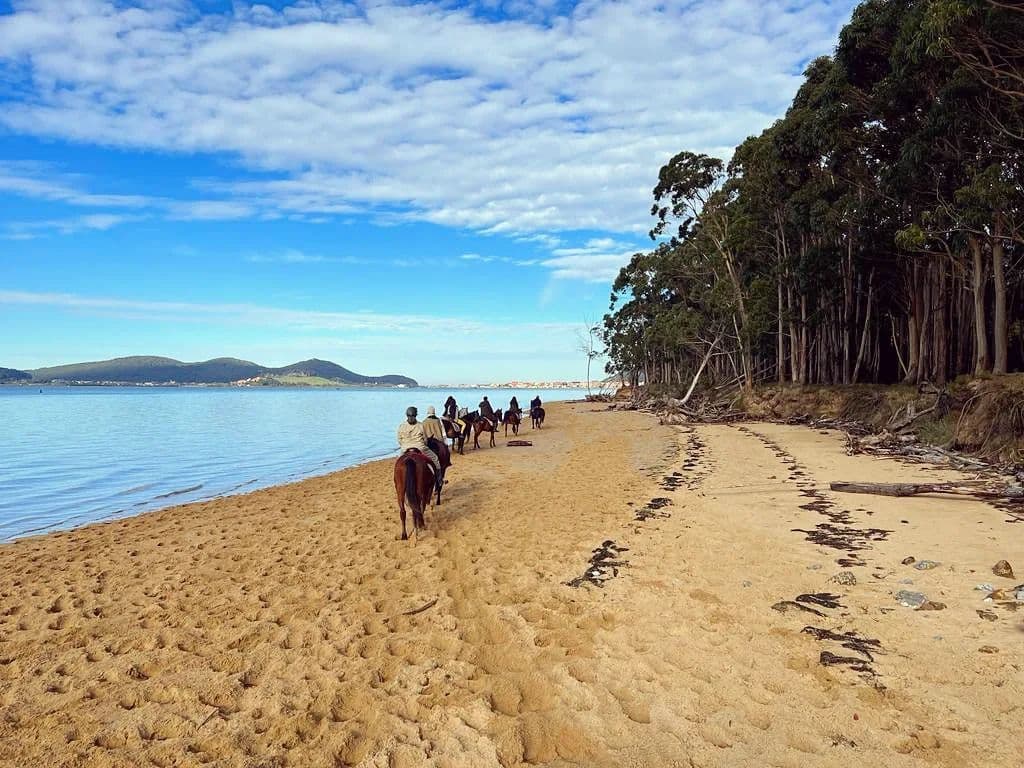 Paseo a caballo por la playa del Regatón