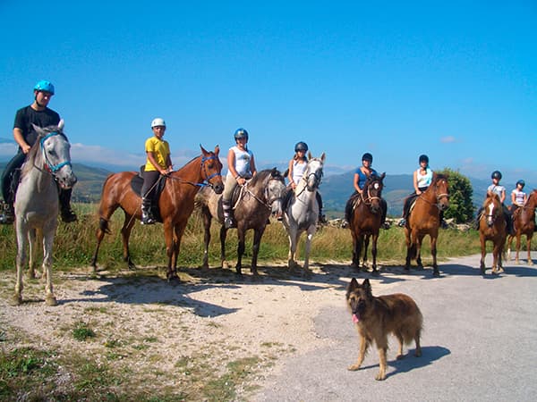 Rutas a caballo en Cantabria: Un paseo inolvidable por la costa Cantábrica