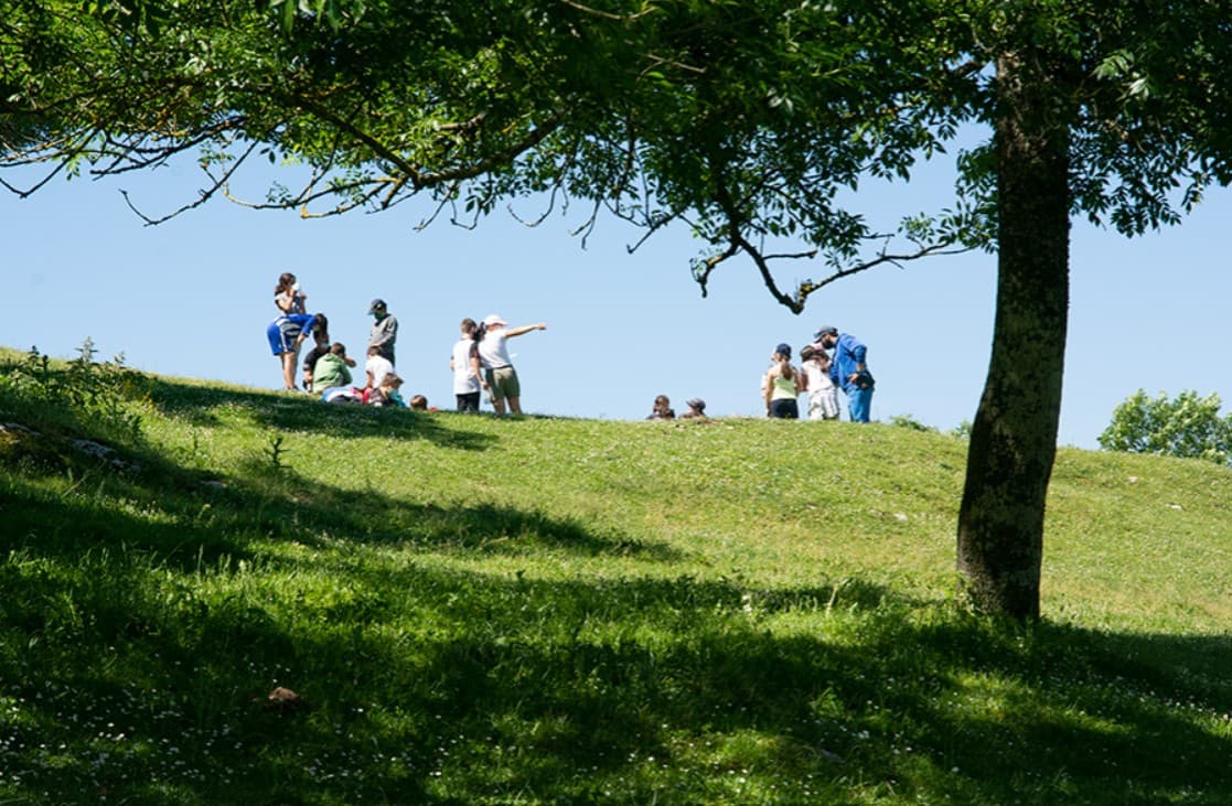 Orientación con brújula en la Sierra de Urbasa: Aprende a orientarte en la naturaleza