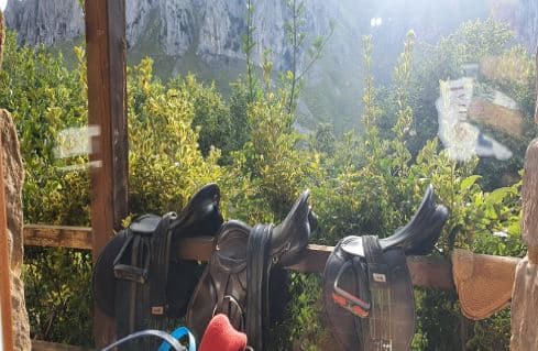 Ruta a caballo a Aloños: Disfruta de la naturaleza en Cantabria